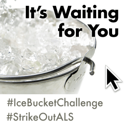 Ice Bucket Challenge