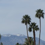 Food and Wine Festival Palm Desert - View from outside
