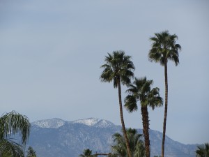 Food and Wine Festival Palm Desert - View from outside
