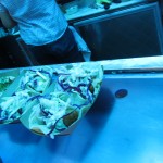 SoCo Farmer's Market farm to food truck challenge