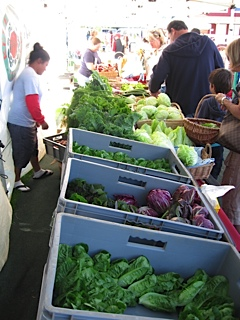 Picture of Waimea Farmer's Market Lettuce Stand Waimea Farmer's Market Lettuce Stand