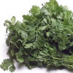 Cilantro – 93pt.