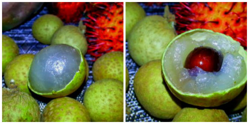 Freaky Fruit For Halloween Decoration, Crafts, Snacks and Cocktails