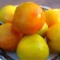 Exotic Fruit Spotlight – The Lemon Plum from Chile Exotic Fruit Spotlight – The Lemon Plum from Chile